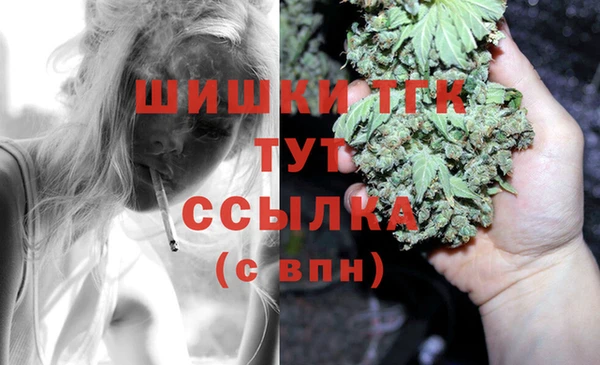 винт Аркадак