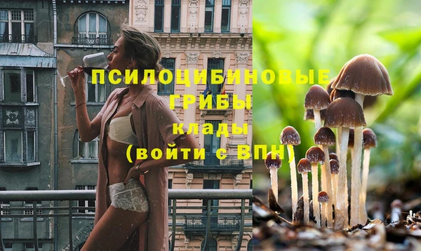 винт Аркадак